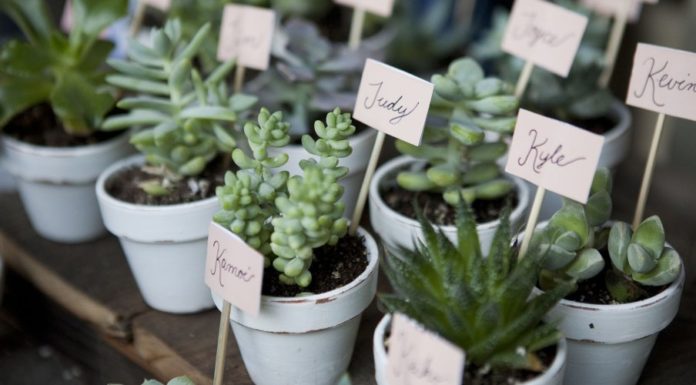 5 idées de cadeaux à offrir à vos invités pour votre mariage !