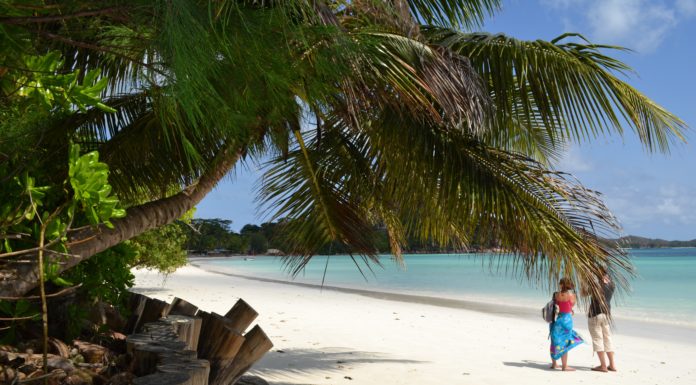 Les splendeurs exotiques des Seychelles pour une lune de miel inoubliable